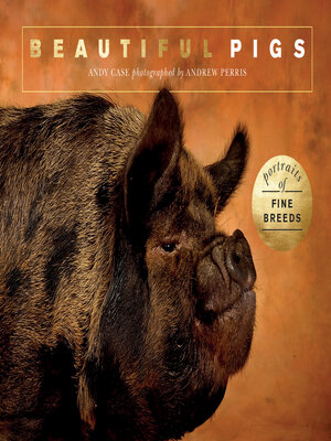 cover image of Beautiful Pigs